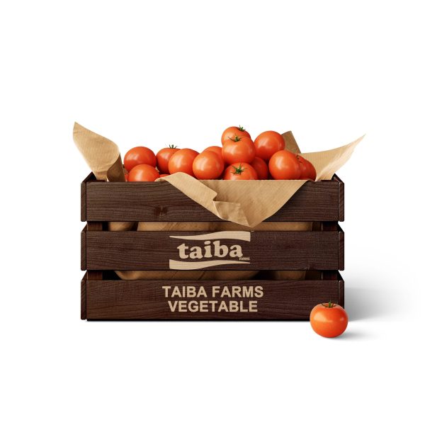 Fresh Tomato Carton- 5 kg of Fresh Tomato