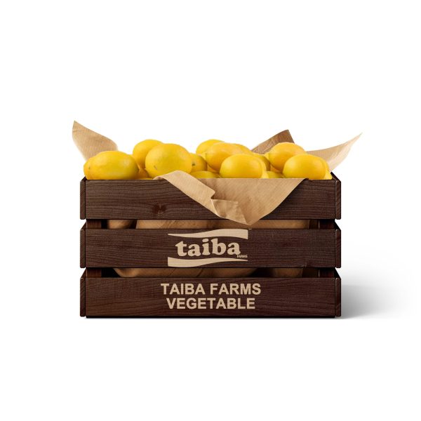 Fresh Lemon Carton- 5 kg of Fresh Lemon