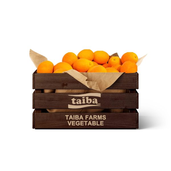 Fresh Orange Carton- 5 kg of Fresh Orange