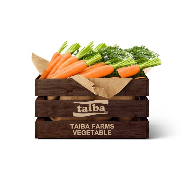 Fresh Carrots Carton- 5 kg of Fresh Carrots